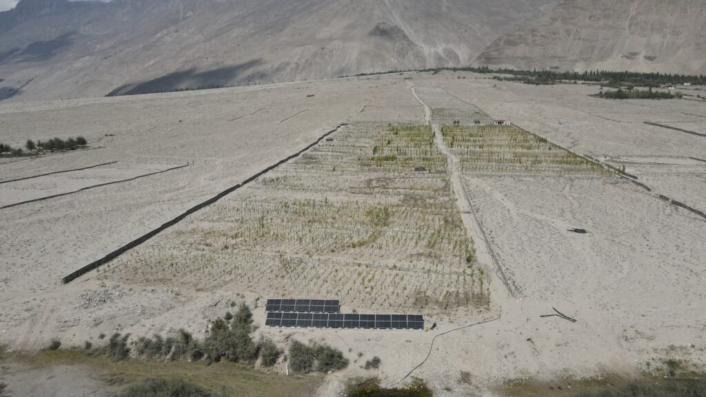 The Energy Plus-supported large-scale afforestation drive is helping turn barren land green in Kashmal Valley, Shigar, with more than 43,000 trees planted.